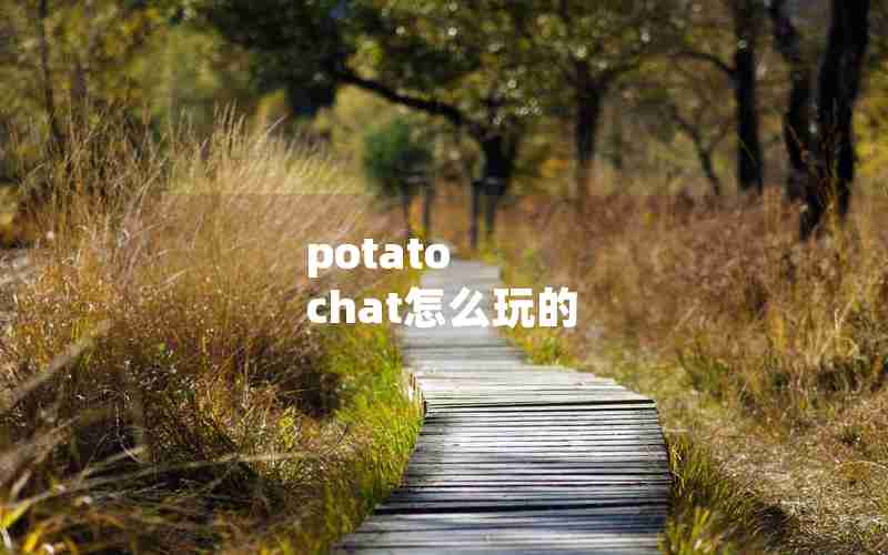 potato chat怎么玩的