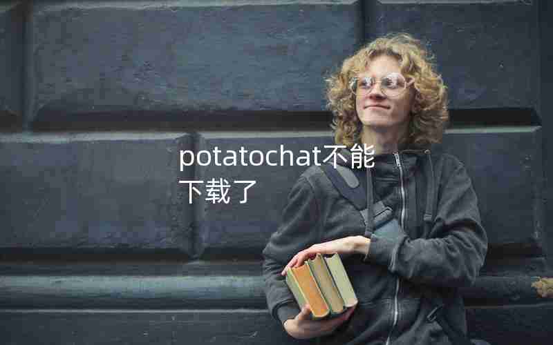 potatochat不能下载了