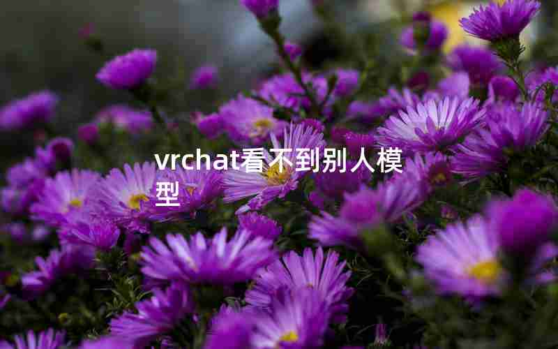 vrchat看不到别人模型