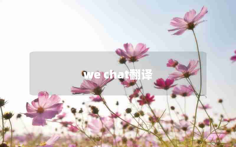 we chat翻译