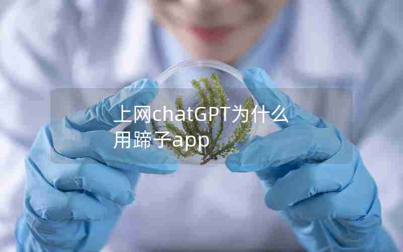 上网chatGPT为什么用蹄子app