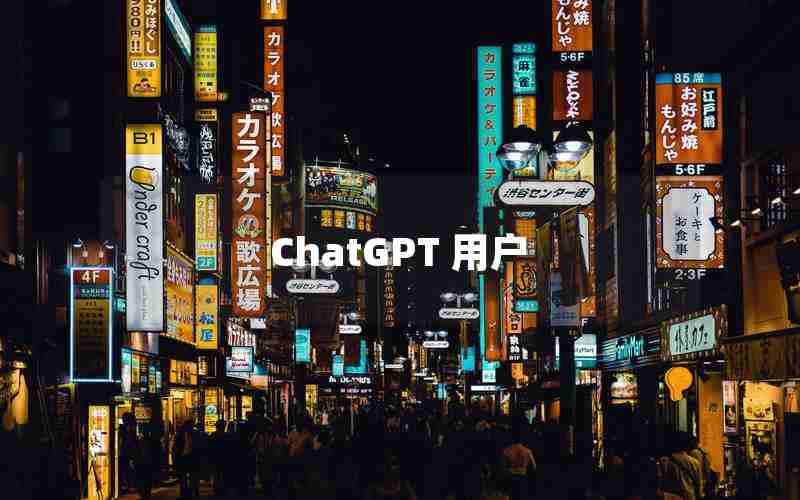 ChatGPT 用户