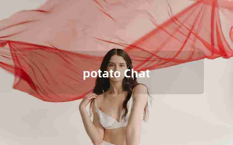 potato Chat