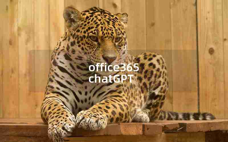 office365 chatGPT