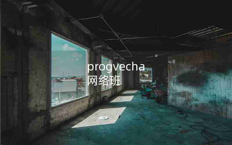 progvecha 网络班