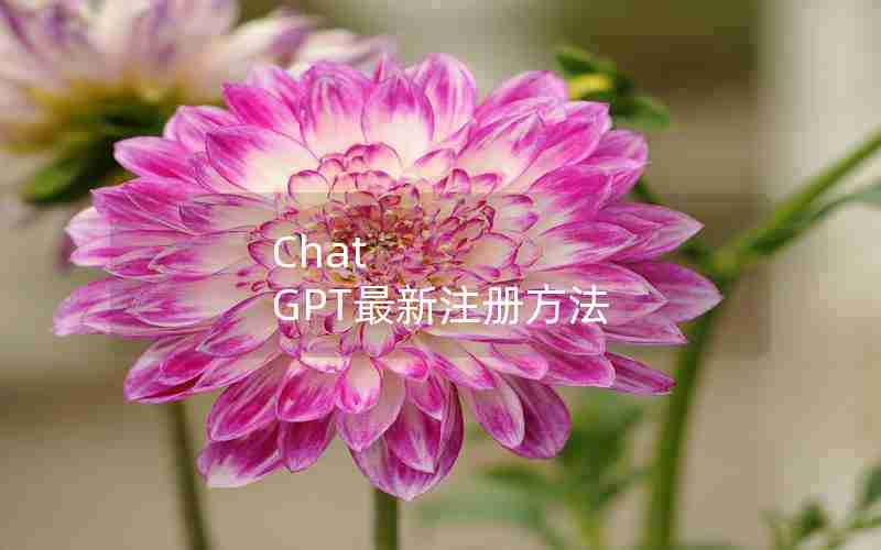 Chat GPT最新注册方法