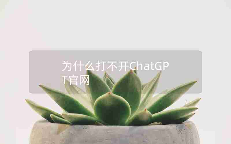 为什么打不开ChatGPT官网