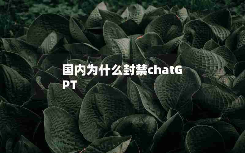 国内为什么封禁chatGPT