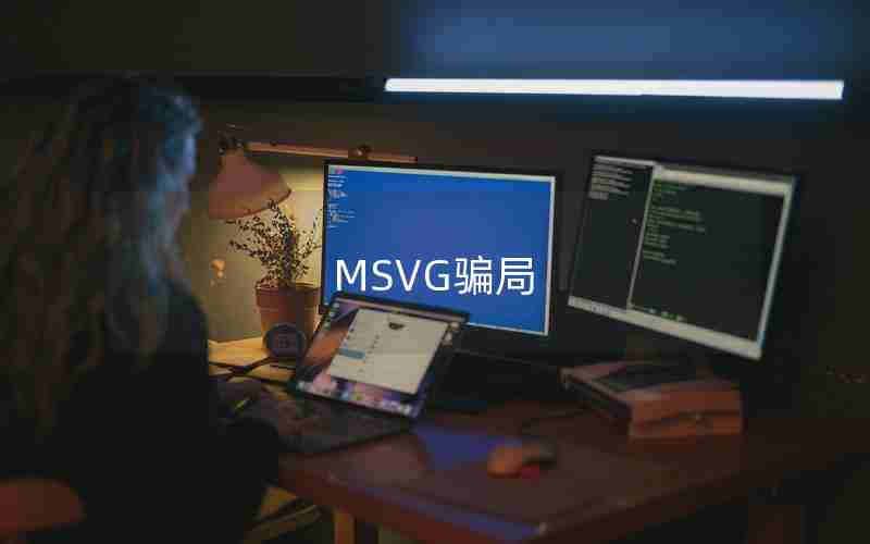 MSVG骗局