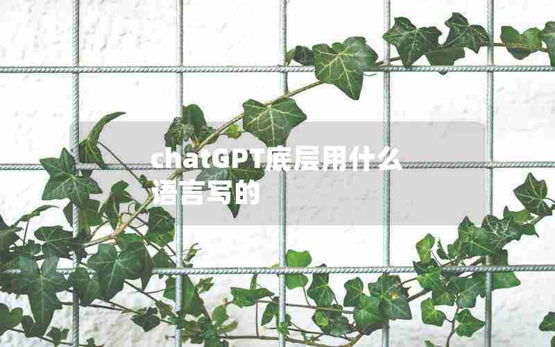 chatGPT底层用什么语言写的