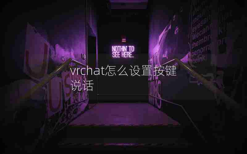 vrchat怎么设置按键说话