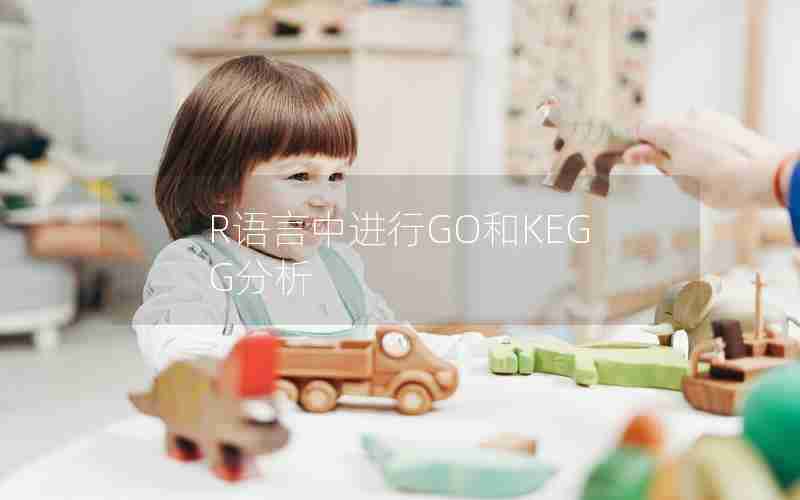 R语言中进行GO和KEGG分析