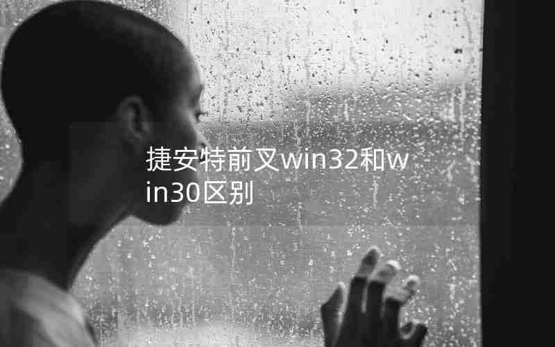 捷安特前叉win32和win30区别