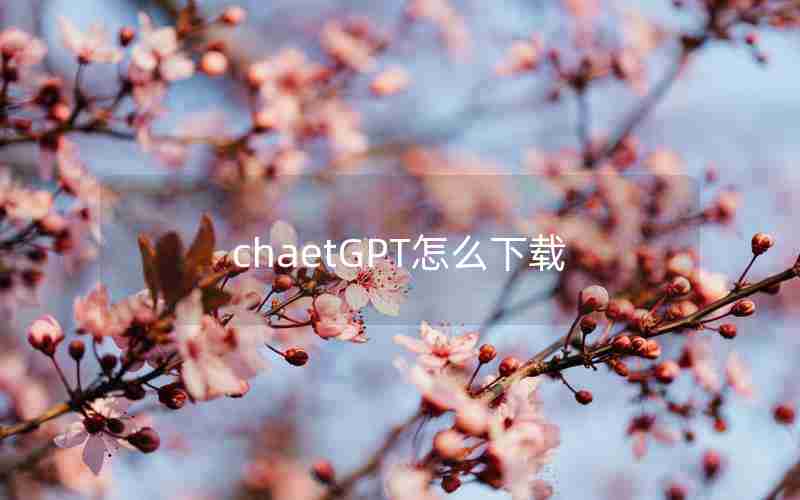 chaetGPT怎么下载