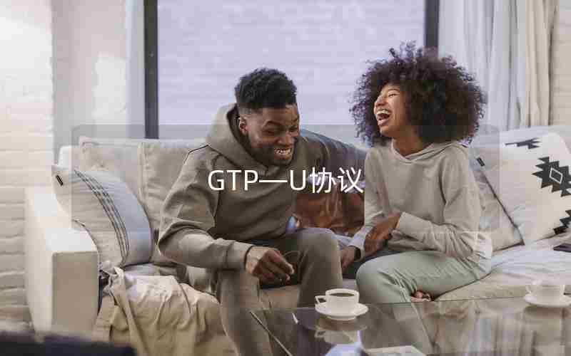 GTP—U协议