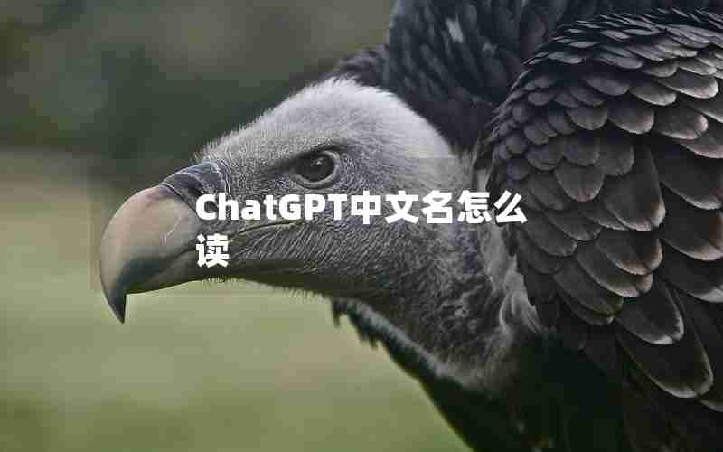 ChatGPT中文名怎么读