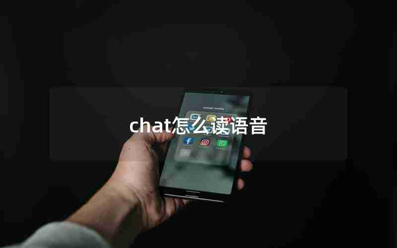 chat怎么读语音