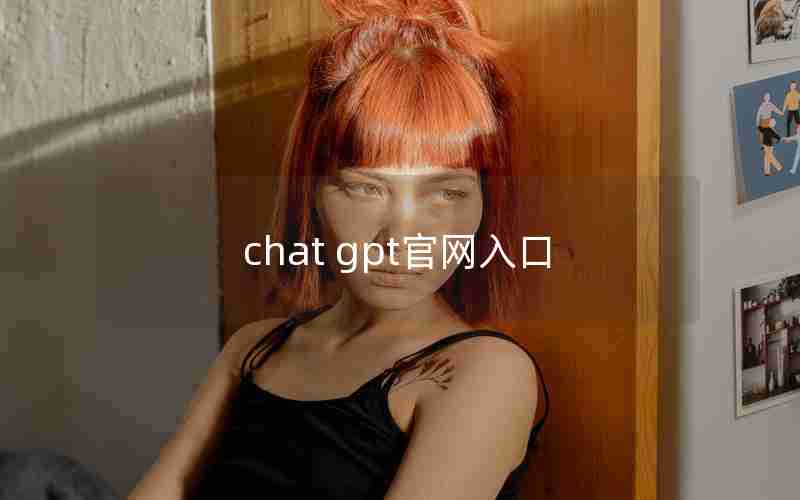 chat gpt官网入口