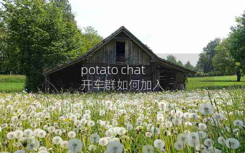 potato chat 开车群如何加入