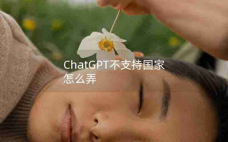 ChatGPT不支持国家怎么弄