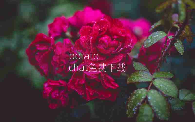 potato chat免费下载