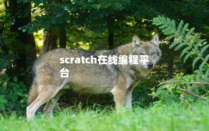 scratch在线编程平台