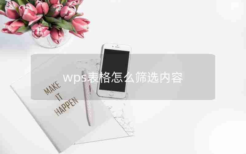 wps表格怎么筛选内容