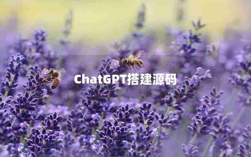 ChatGPT搭建源码