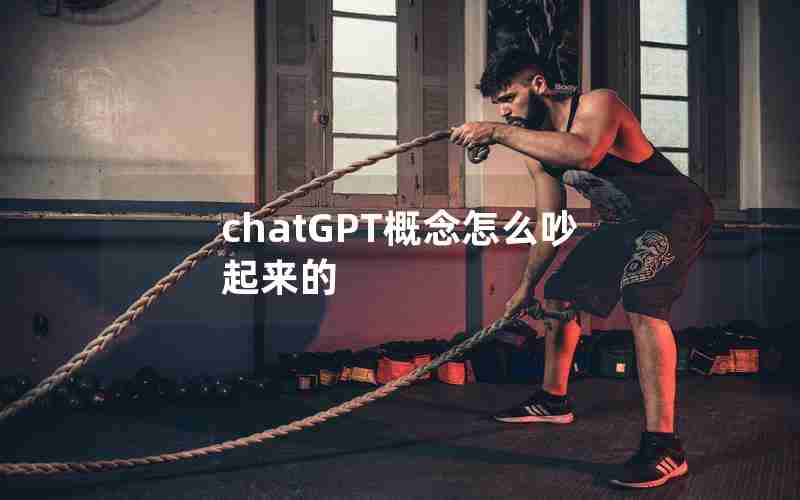 chatGPT概念怎么吵起来的