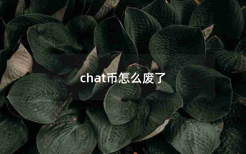 chat币怎么废了