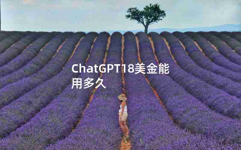 ChatGPT18美金能用多久