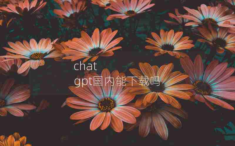 chat gpt国内能下载吗