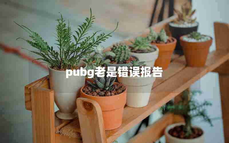 pubg老是错误报告