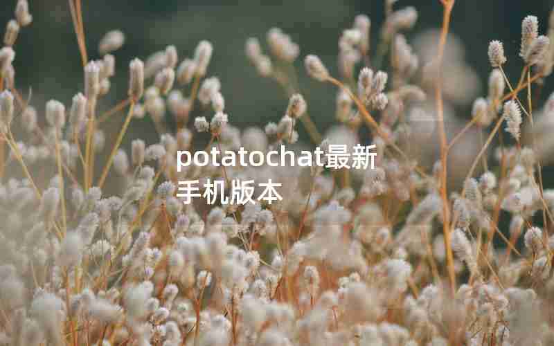 potatochat最新手机版本