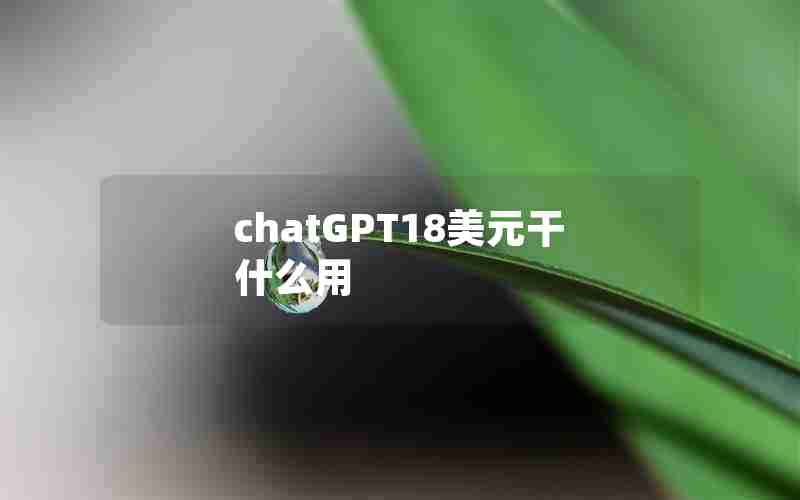 chatGPT18美元干什么用