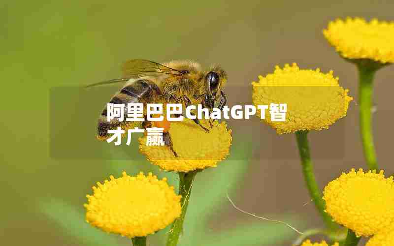 阿里巴巴ChatGPT智才广赢