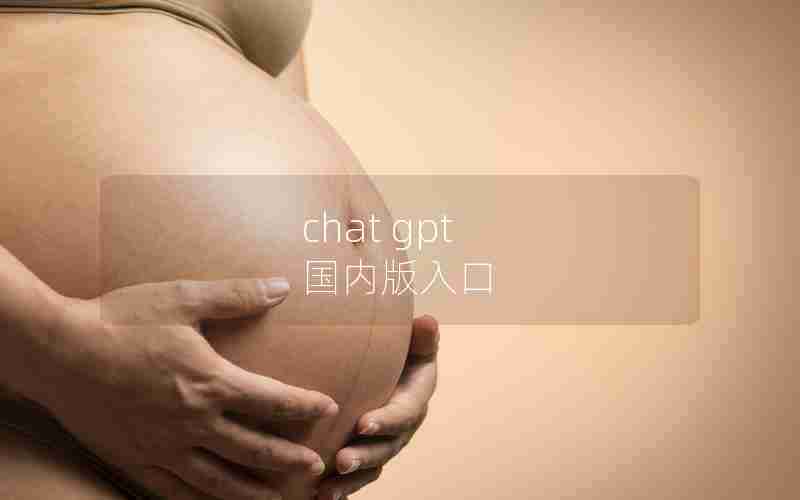 chat gpt 国内版入口