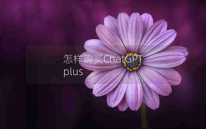 怎样购买ChatGPT plus