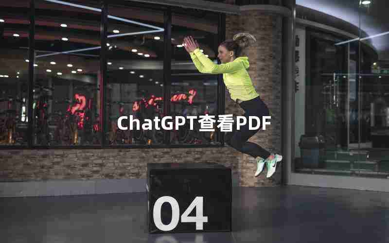 ChatGPT查看PDF