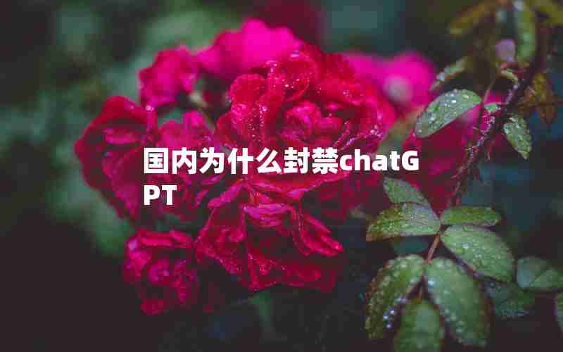 国内为什么封禁chatGPT