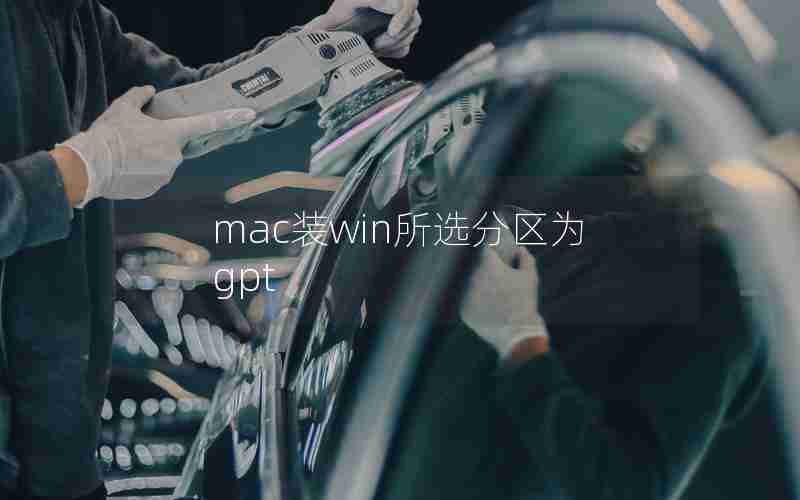 mac装win所选分区为gpt