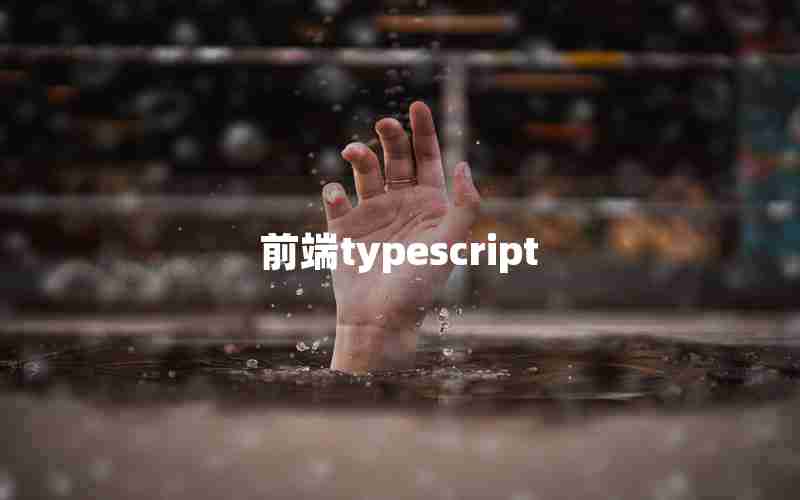 前端typescript