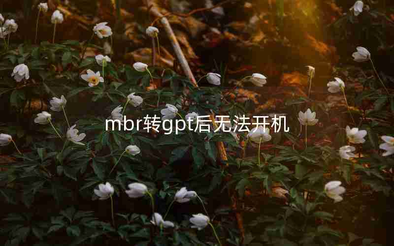 mbr转gpt后无法开机