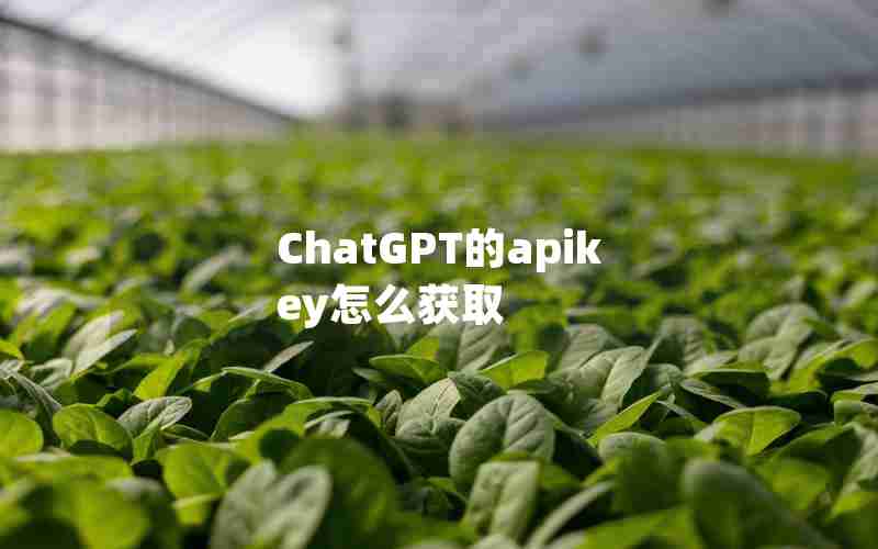 ChatGPT的apikey怎么获取