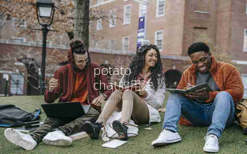 potato chat的用法