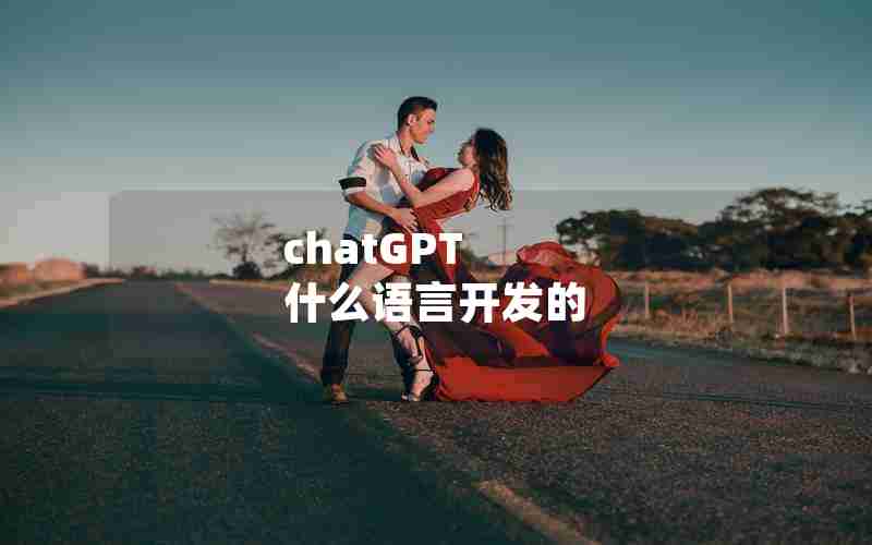 chatGPT 什么语言开发的