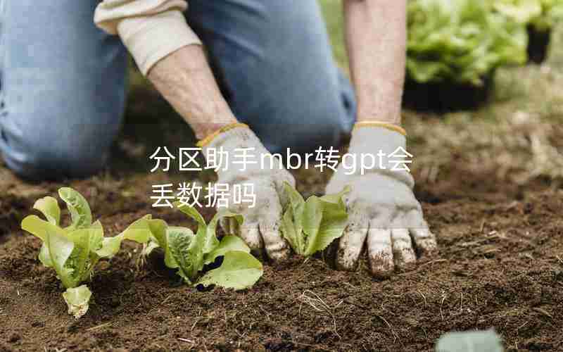 分区助手mbr转gpt会丢数据吗