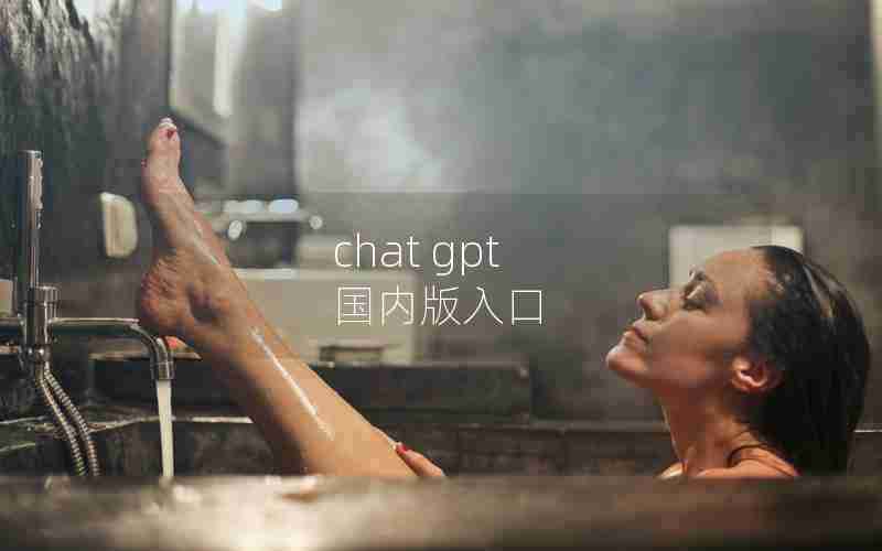 chat gpt 国内版入口