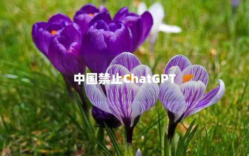 中国禁止ChatGPT(国内为什么封禁chatGPT)