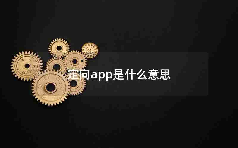 定向app是什么意思